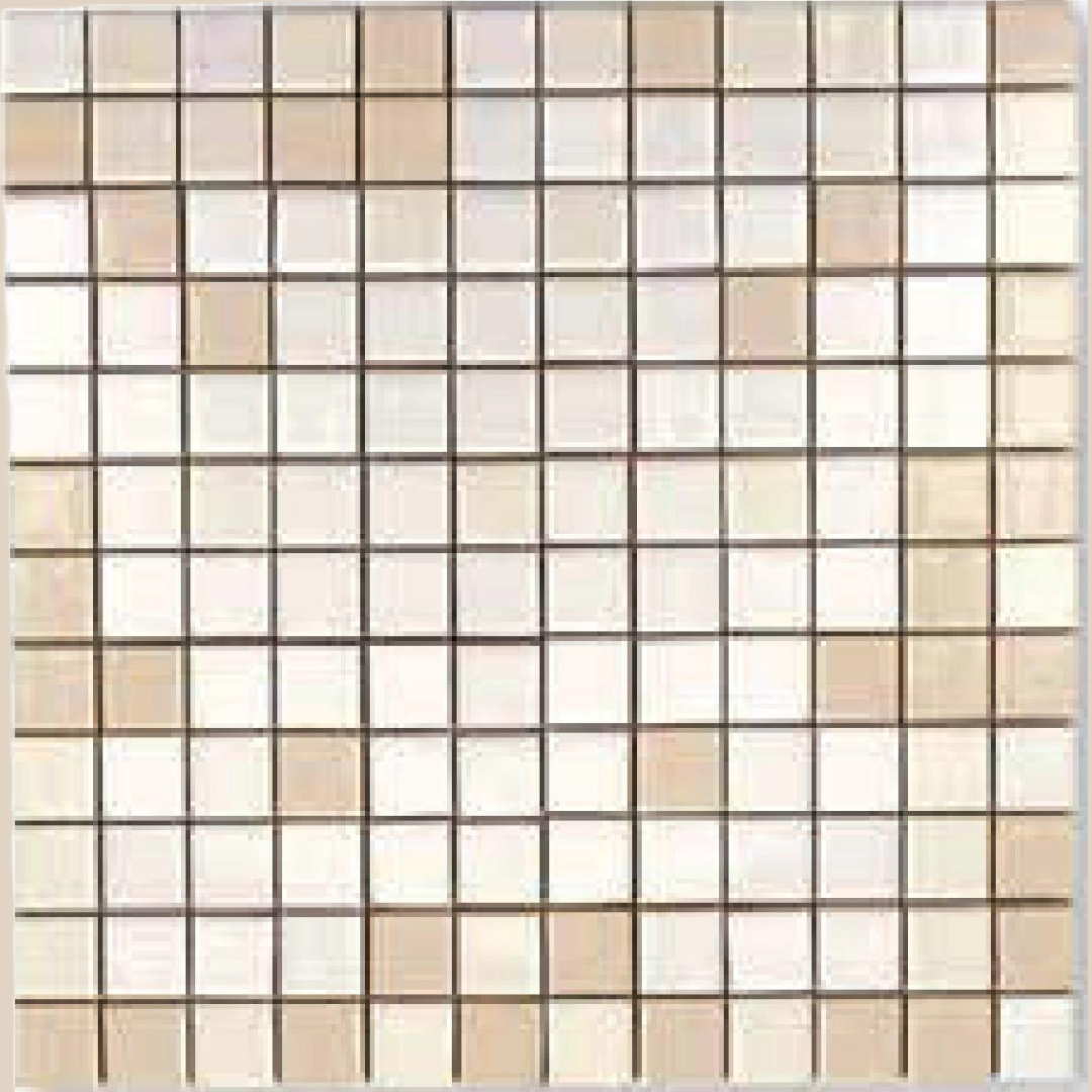 Ceramica diTreviso Semina Semina 19 2,5x.25 lotto mq 5